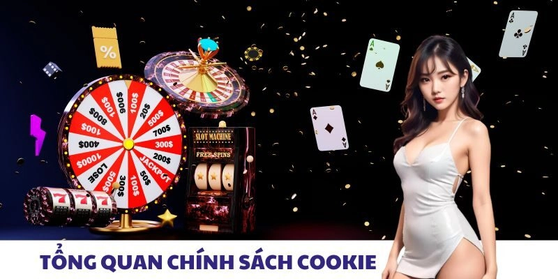 Tổng quan chính sách cookie