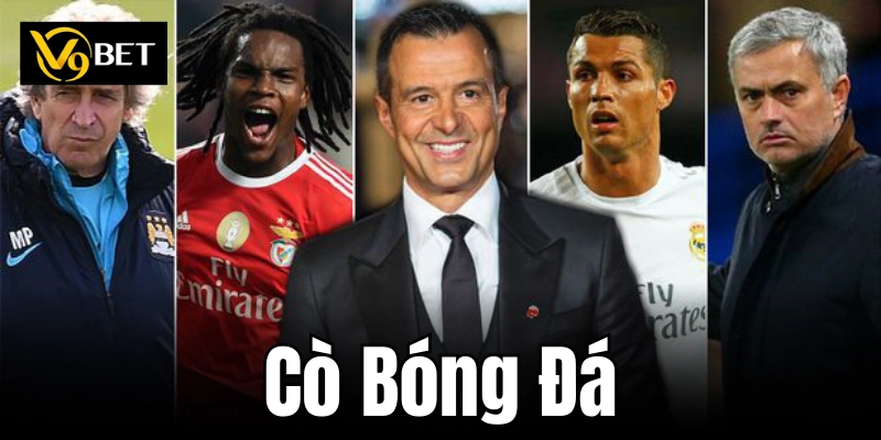 Tổng quan về khái niệm cò bóng đá