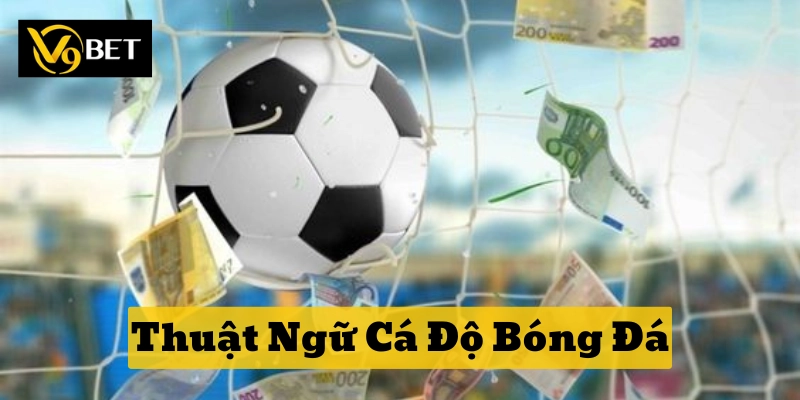 Thuật Ngữ Cá Độ Bóng Đá về kèo cá cược