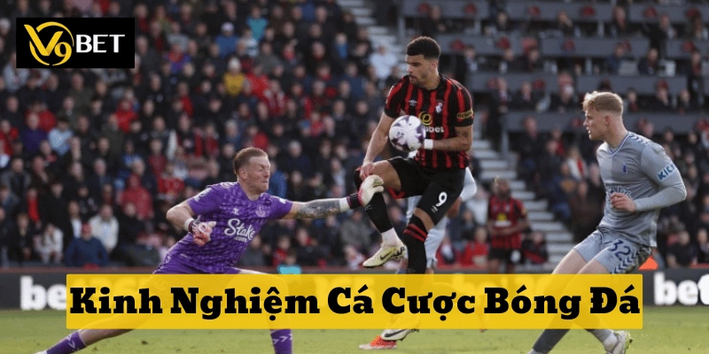 Phân tích trận đấu chuẩn nhờ Kinh Nghiệm Cá Cược Bóng Đá thực chiến